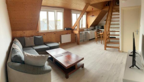Appartement complet 65 m2 avec terrasse sud 18 m2